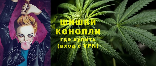 mdpv Бородино