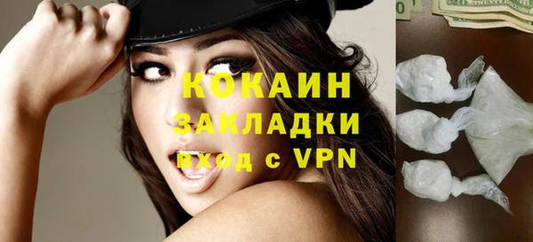 mdpv Бородино