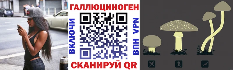 Галлюциногенные грибы Psilocybine cubensis  MEGA зеркало  shop формула  Кимры 